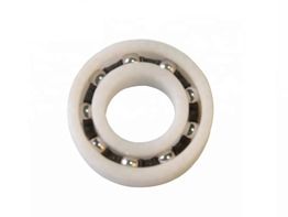 Plastic Bearing