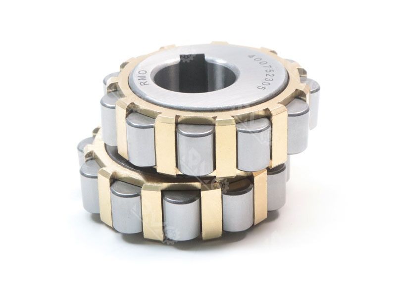 100752305 eccentric bearing