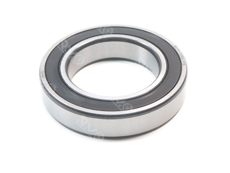 6010-2RS bearing